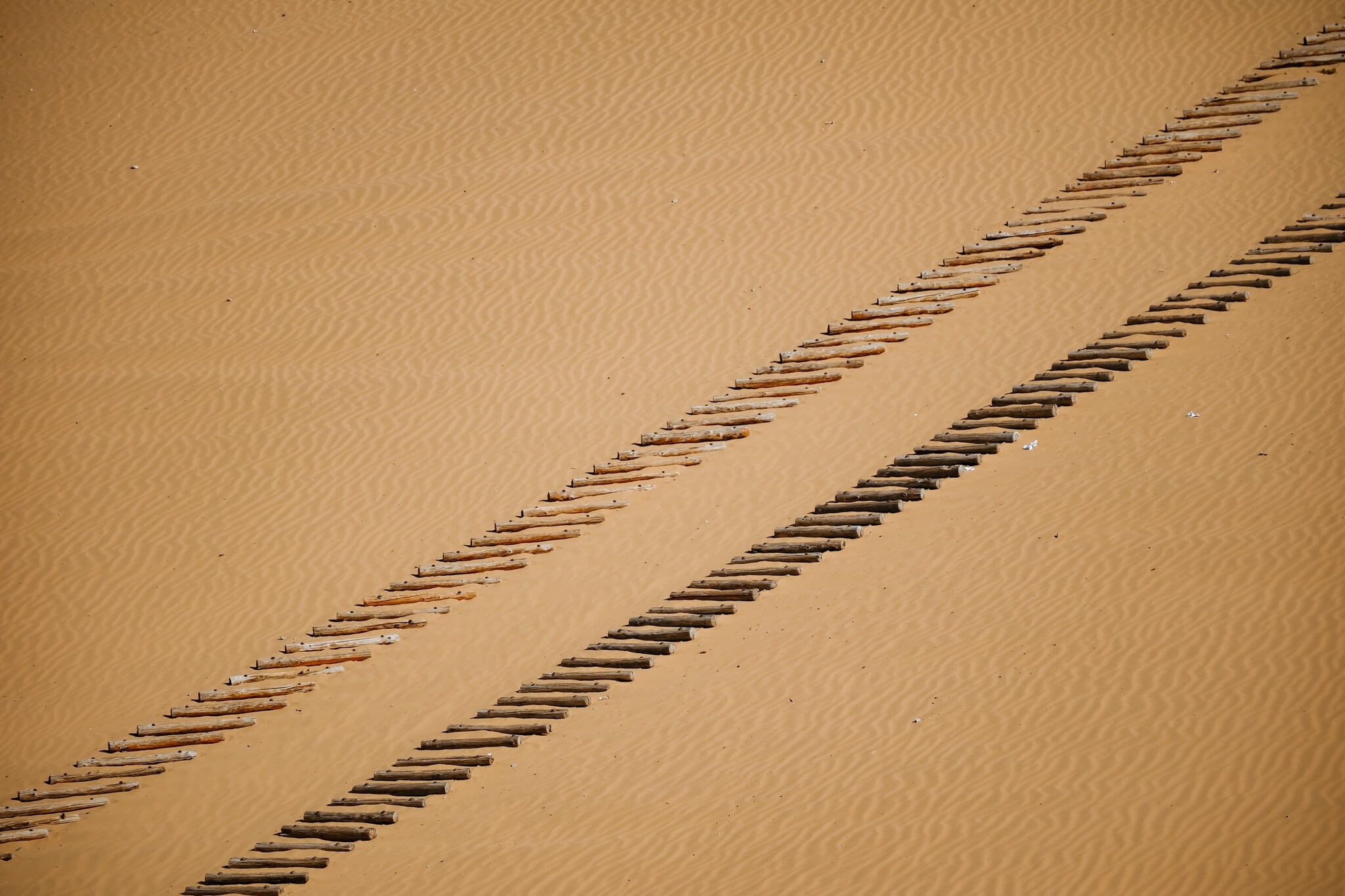 DSCF9917.jpg